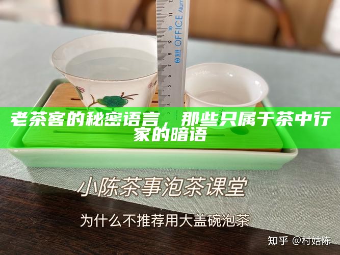 老茶客的秘密语言,那些只属于茶中行家的暗语