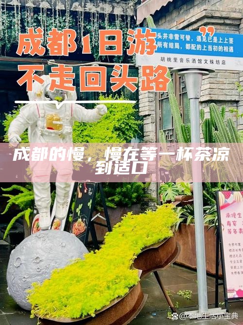 成都的慢，慢在等一杯茶凉到适口