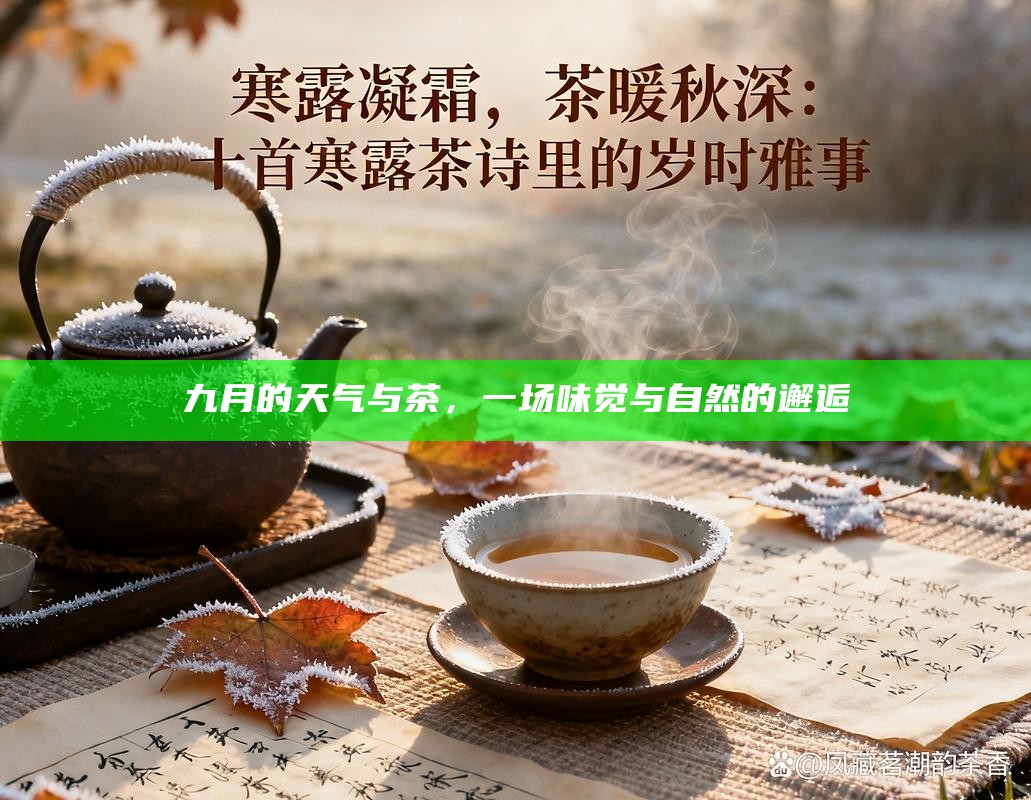 九月的天气与茶，一场味觉与自然的邂逅
